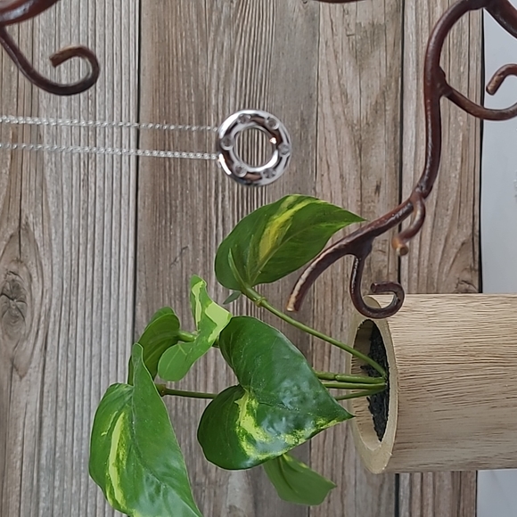 SILVER CIRCLE OF LIFE CZ PENDANT & CHAIN - Picture 2 of 8